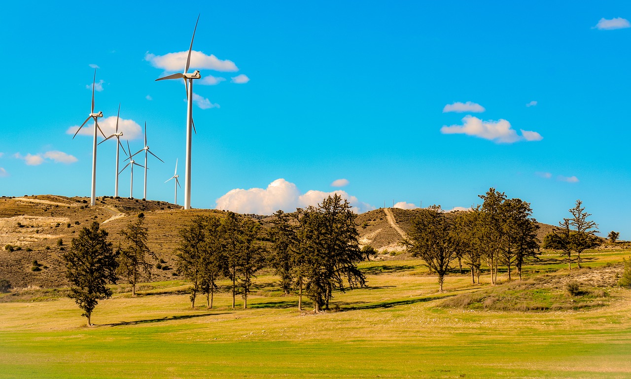 landscape  trees  windmills free photo