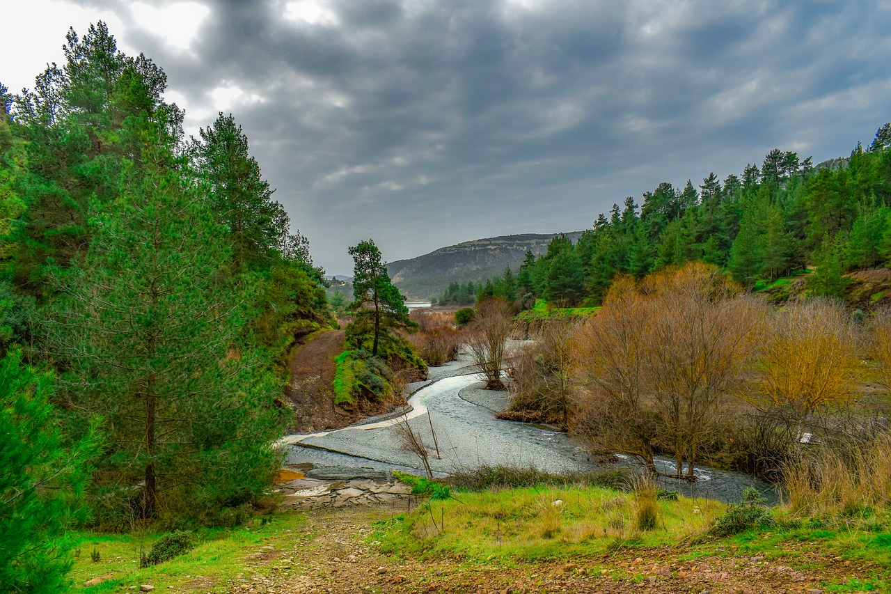 landscape  trees  mountains free photo