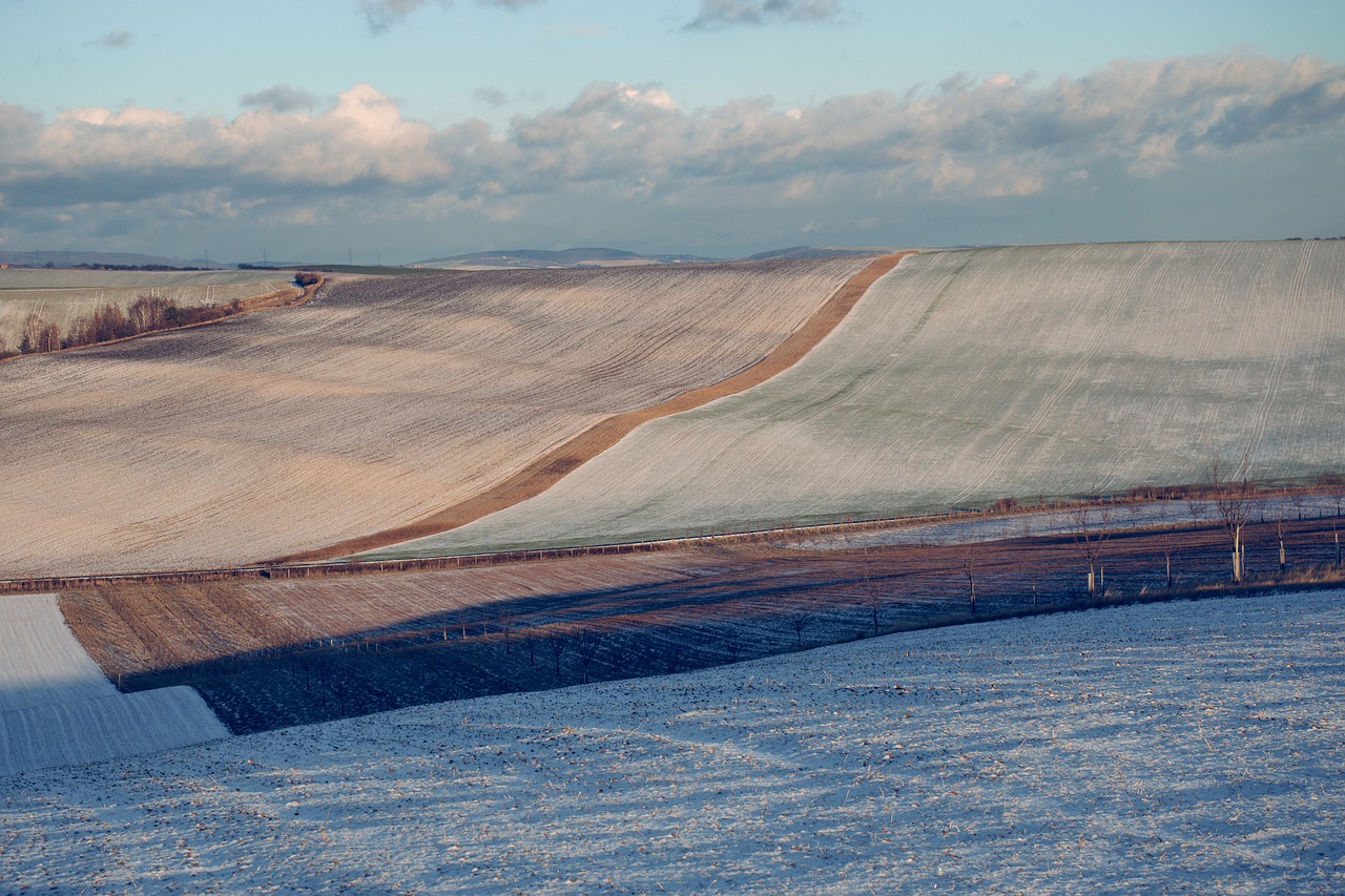 landscape  line  winter free photo