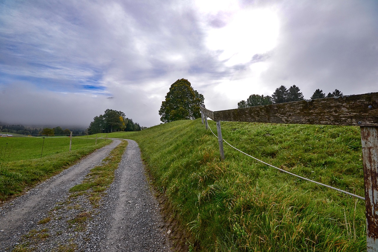 landscape  meadow  rural free photo