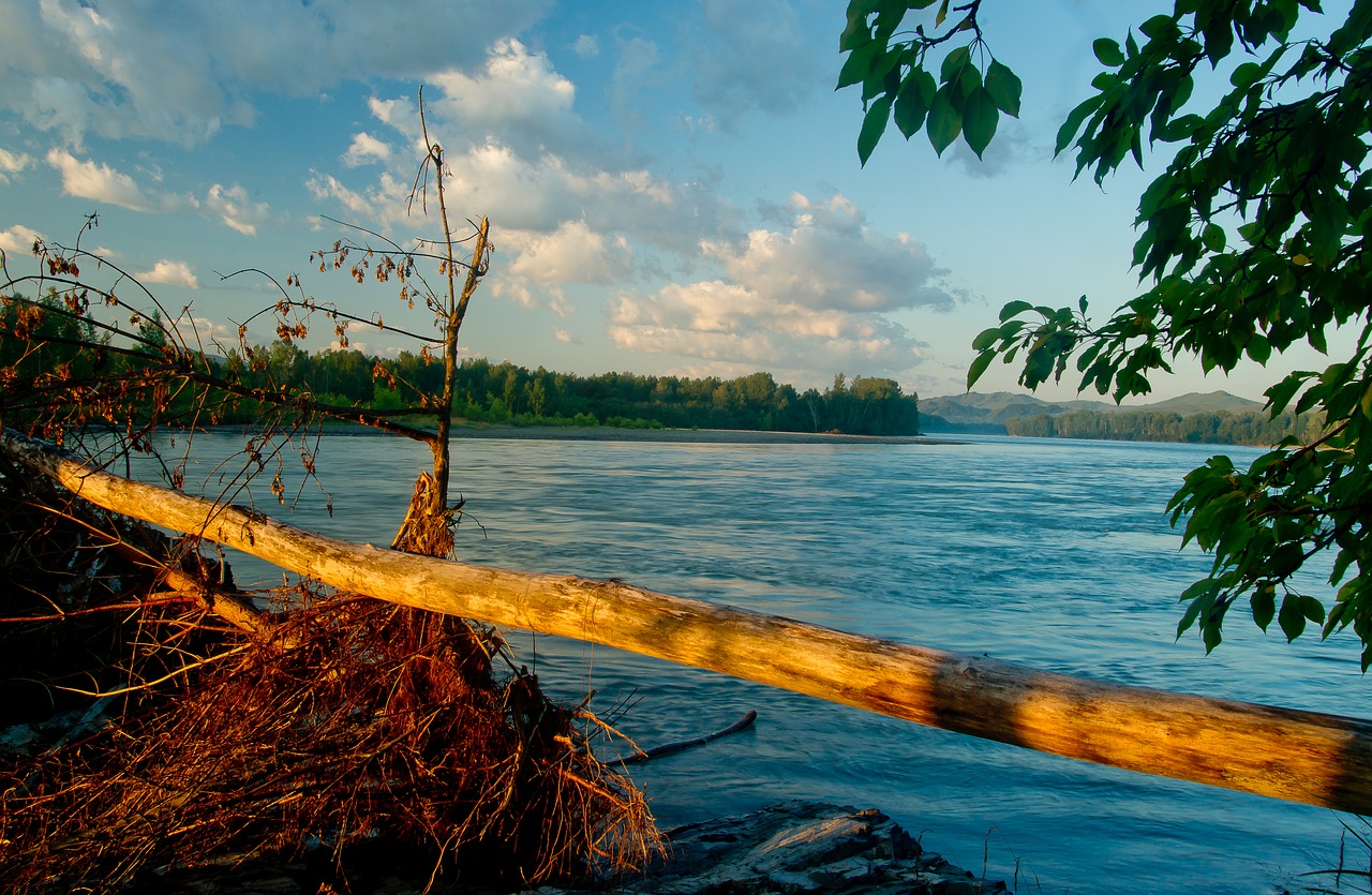 landscape  katun river  nature free photo