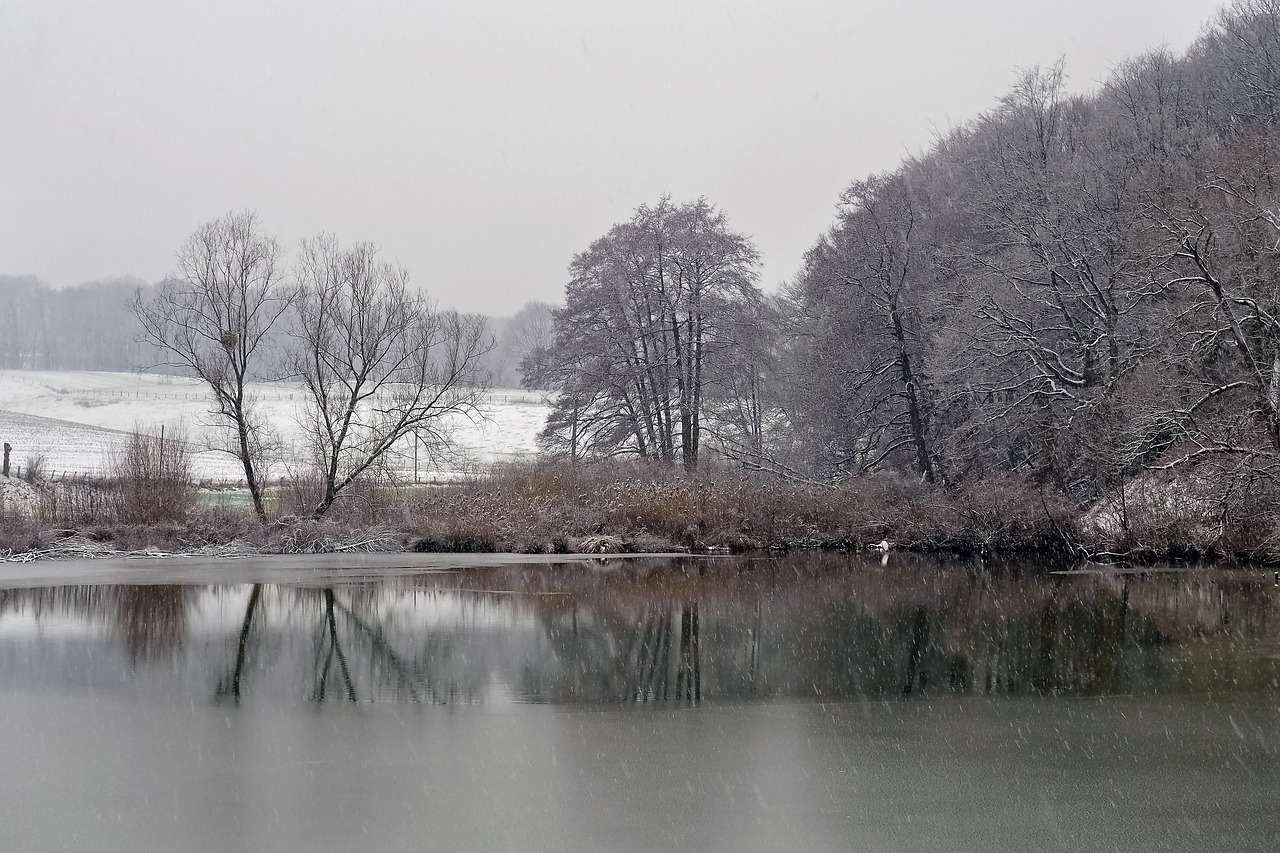 landscape  winter  lake free photo