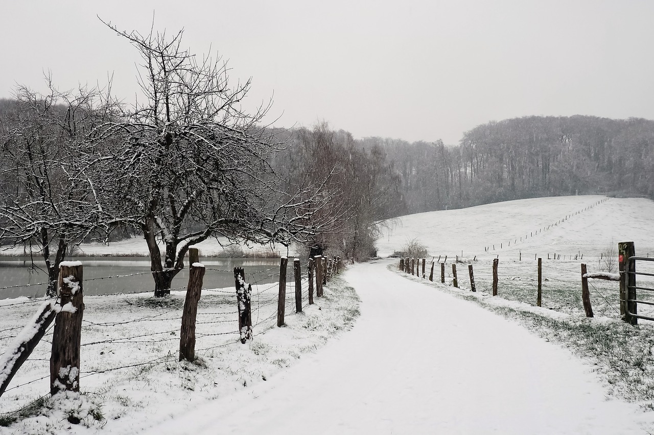 landscape  winter  snow free photo