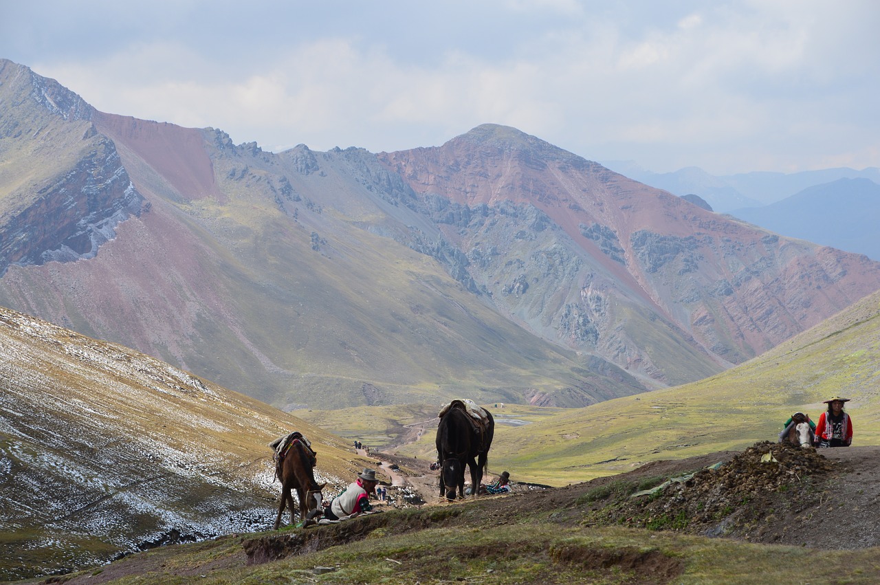 landscape  horses  mountains free photo