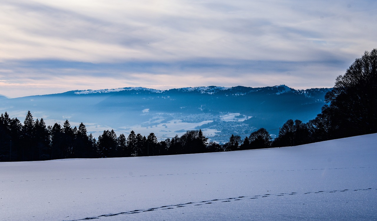 landscape  winter  snow free photo