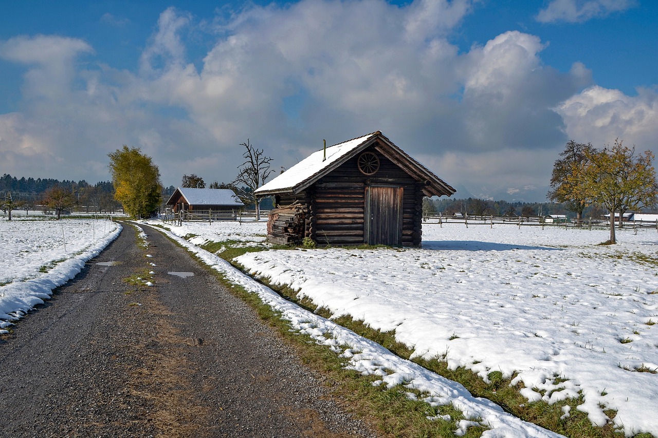 landscape  snow  winter free photo