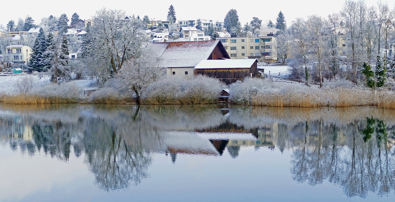 landscape  nature  winter free photo