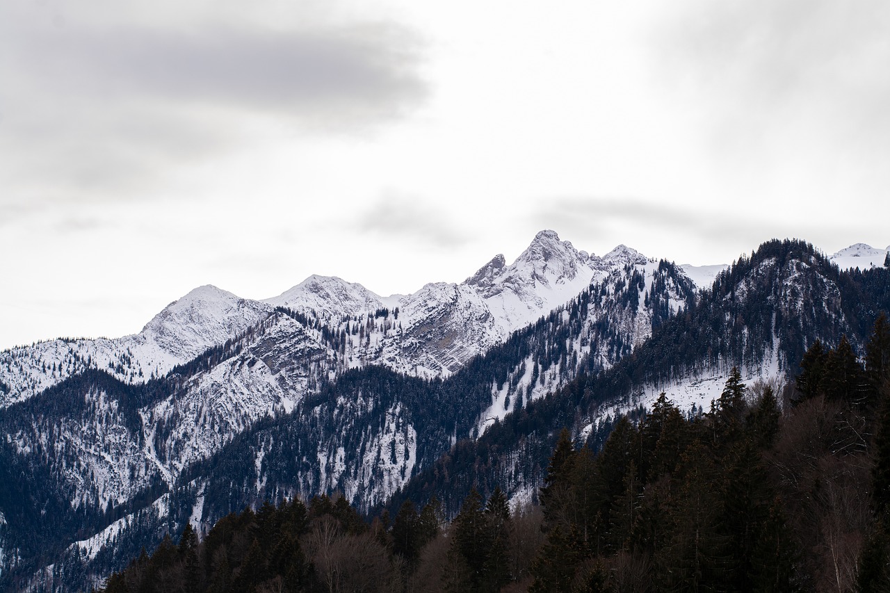 landscape  winter  mountains free photo