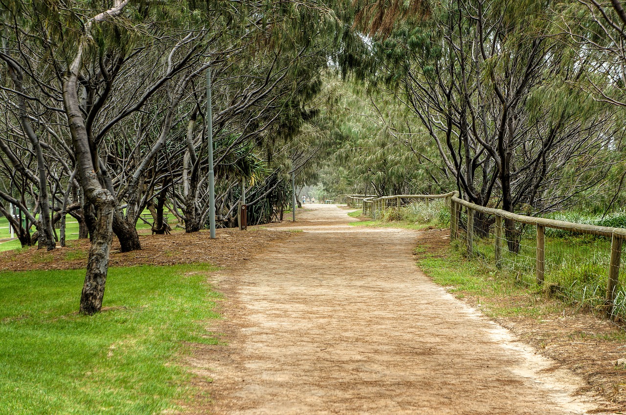 landscape  nature  trees free photo