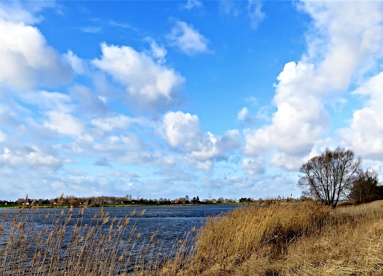 landscape  river  elbe free photo