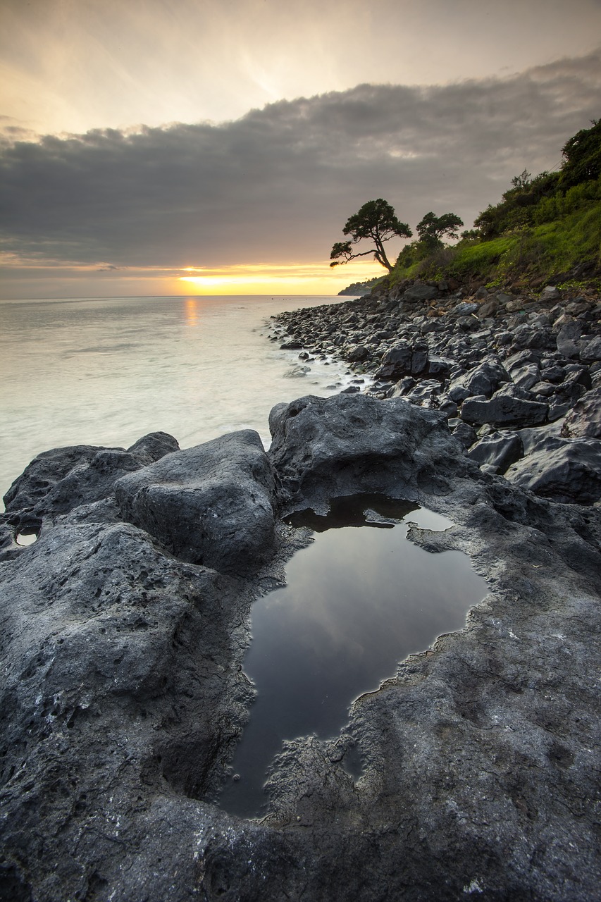 landscape  natural  nature free photo