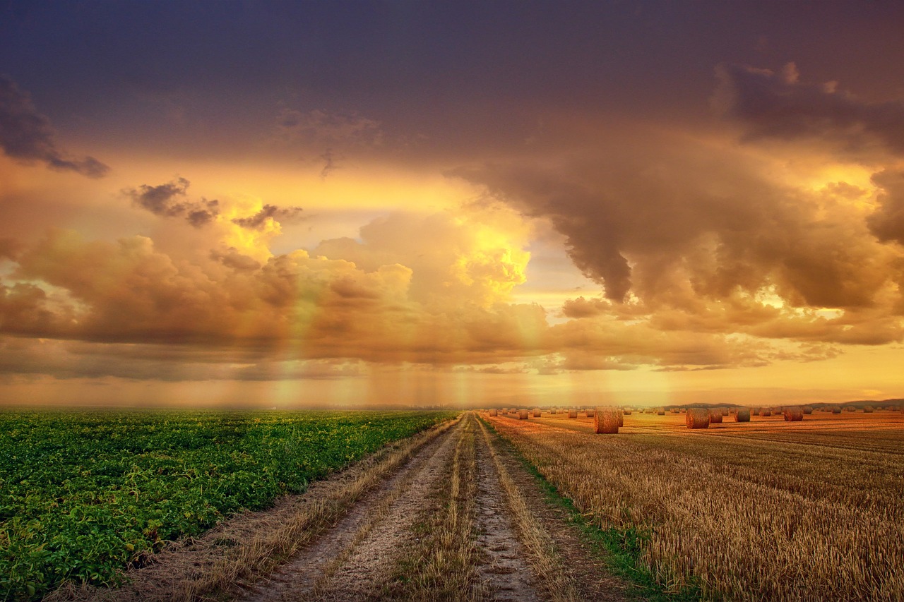 landscape  sunset  sky free photo