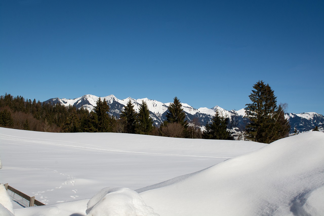 landscape  winter  snow free photo