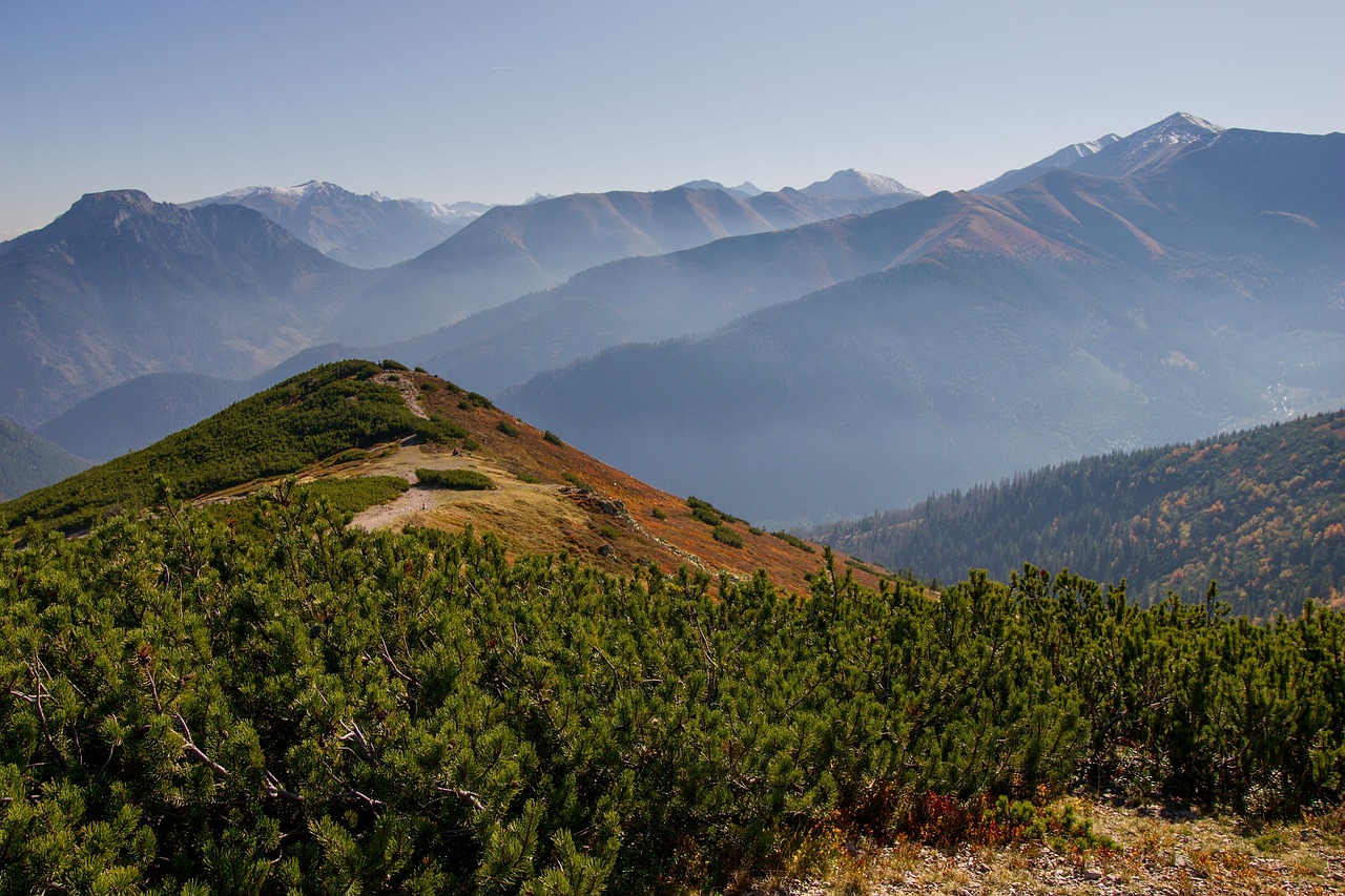 landscape  mountains  kosodřevina free photo