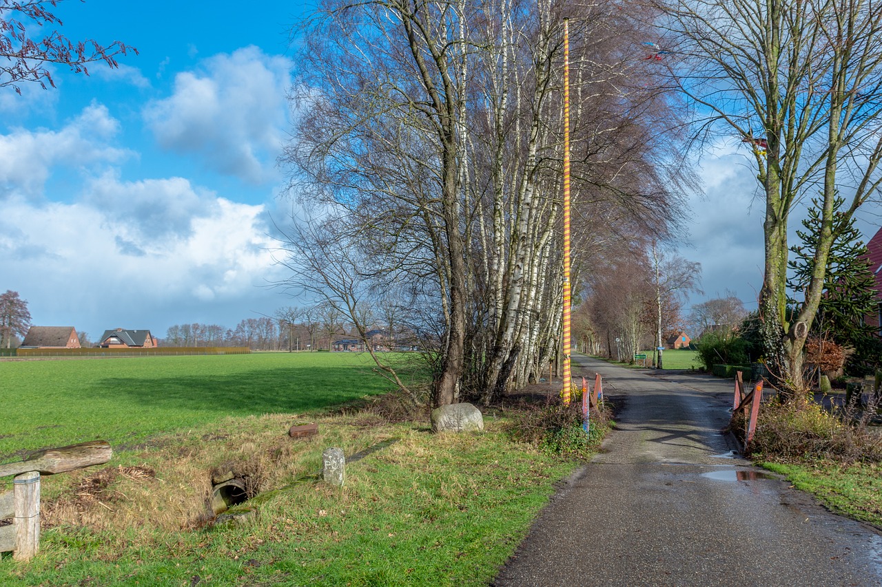 landscape  road  border free photo