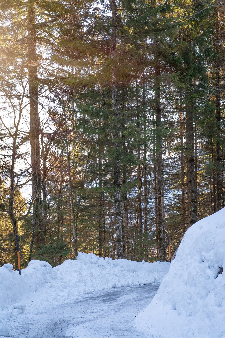 landscape  winter  away free photo