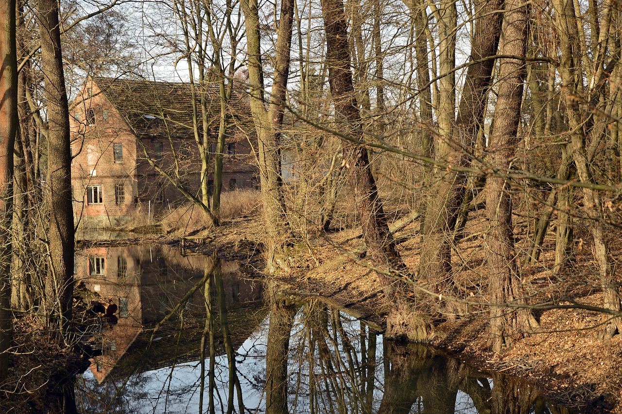 landscape  river  waters free photo