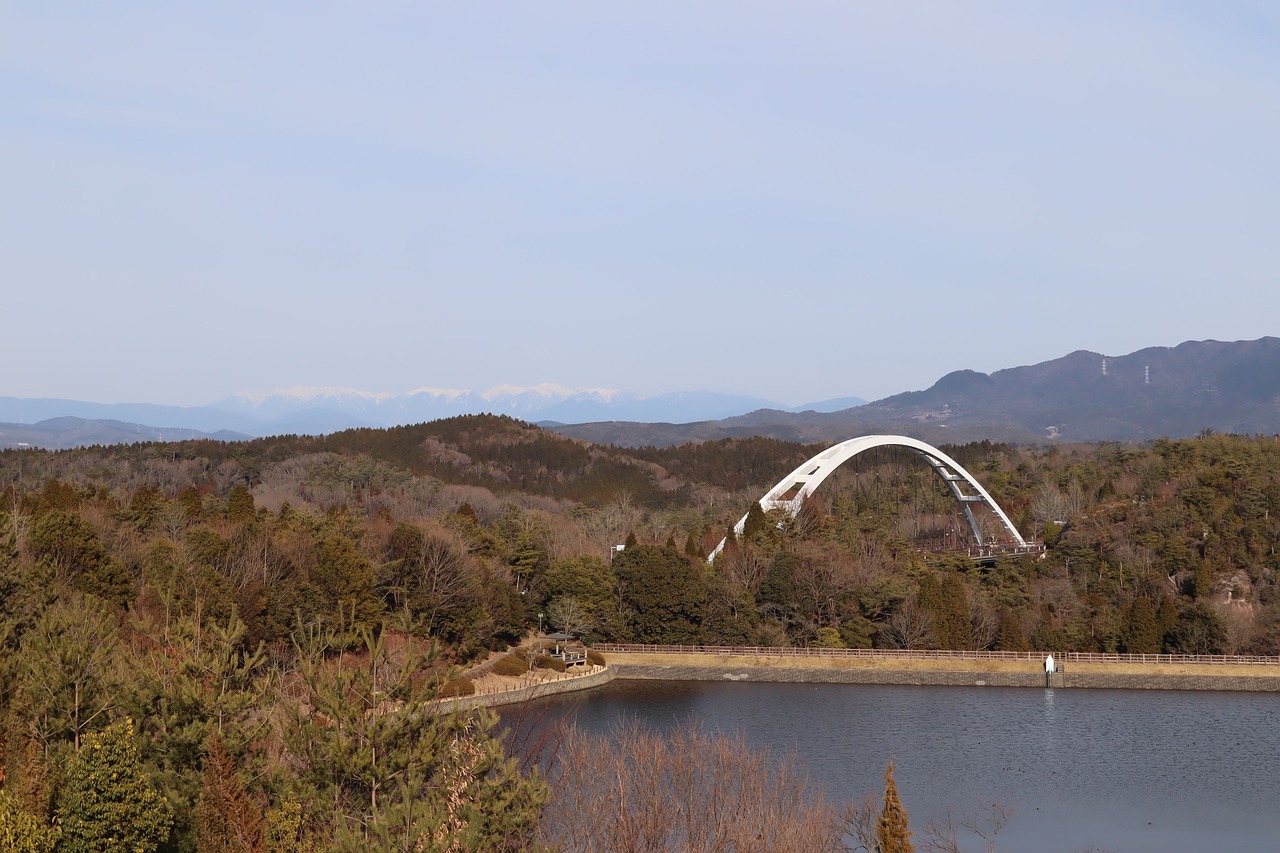 landscape  japan  gifu free photo