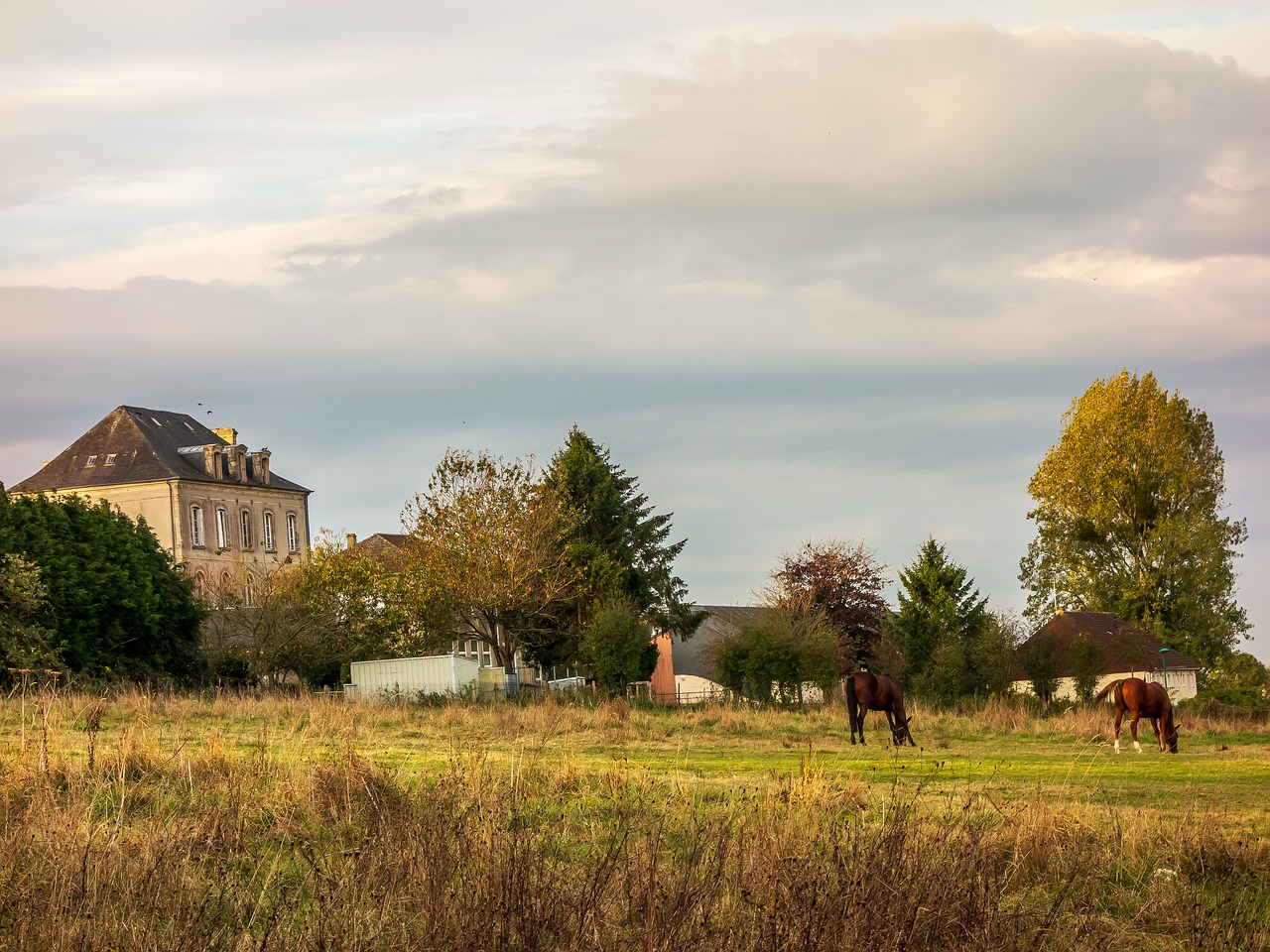 landscape  france  normandy free photo