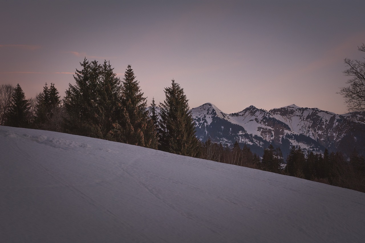 landscape  winter  snow free photo