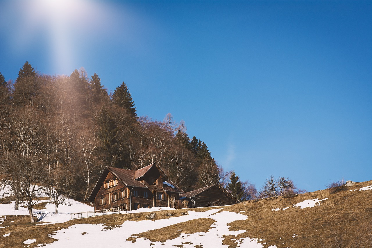 landscape  winter  snow free photo