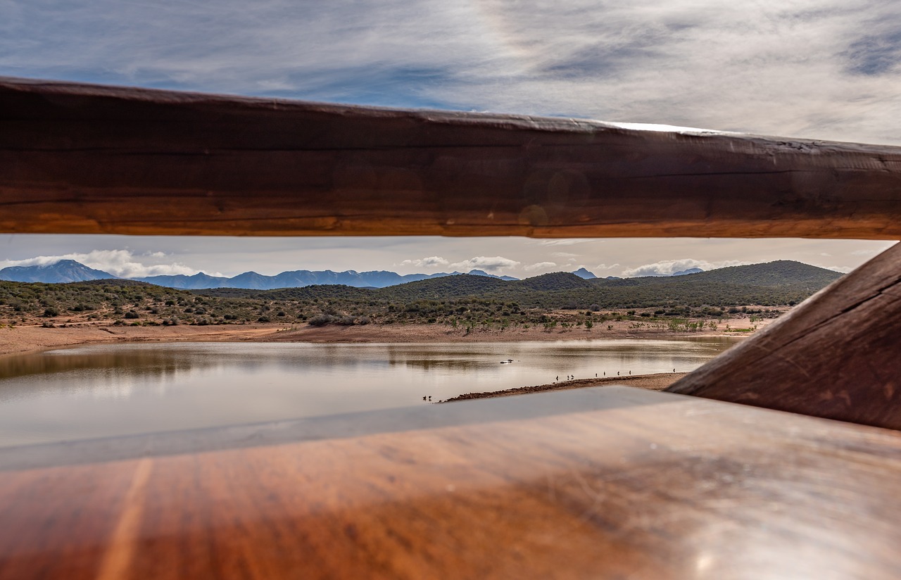 landscape  south africa  railing free photo