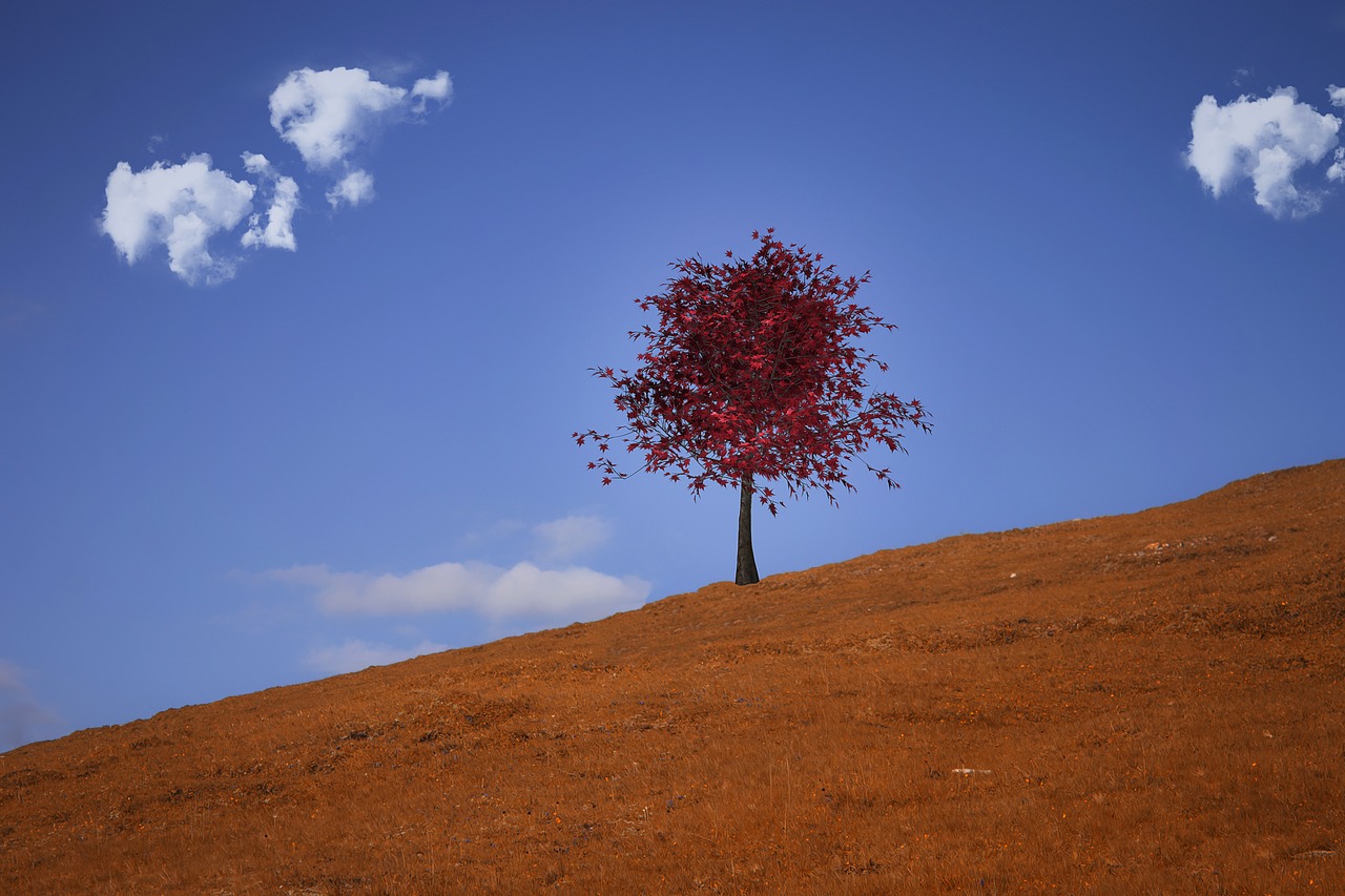 landscape  autumn  meadow free photo