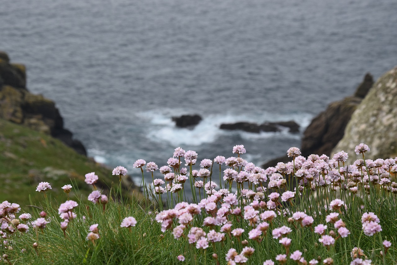 landscape  holidays  sea free photo