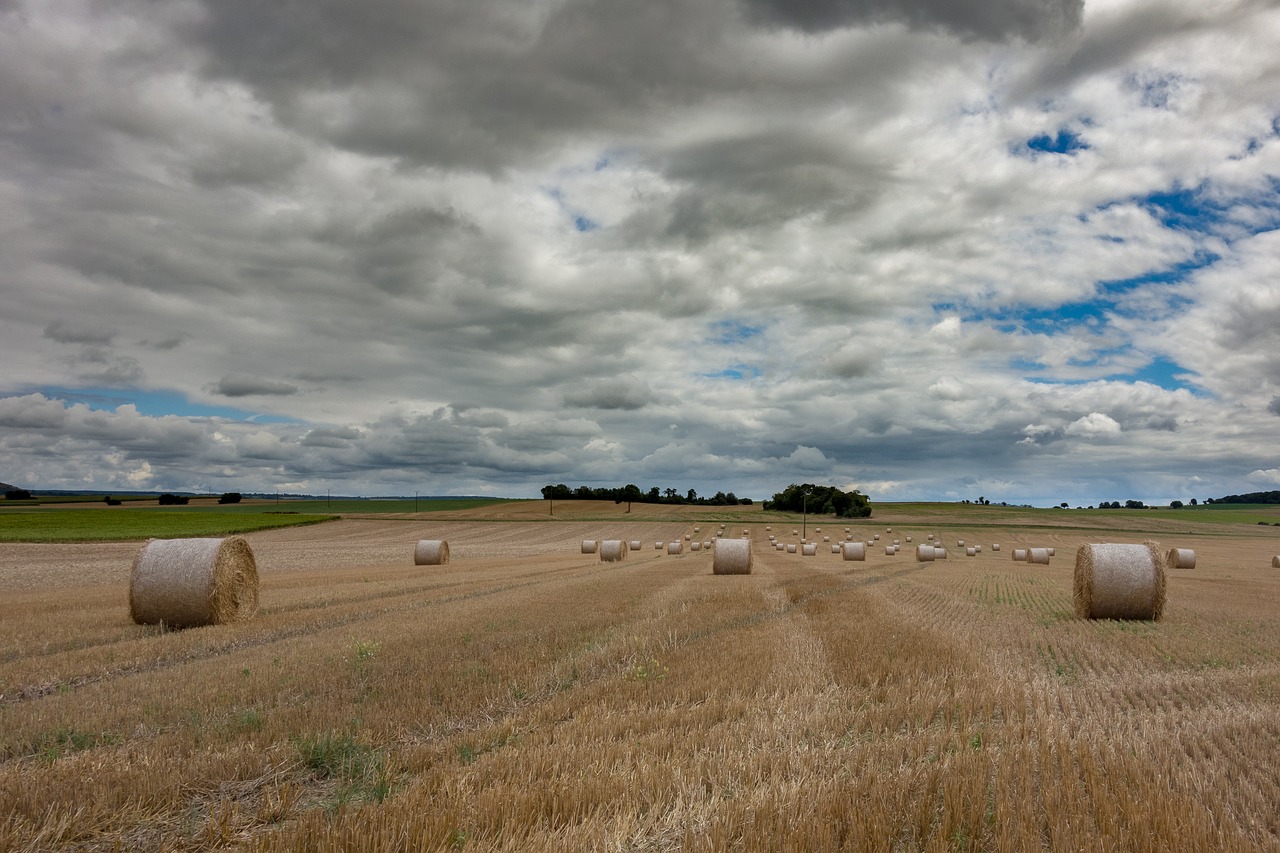 landscape  rural  france free photo