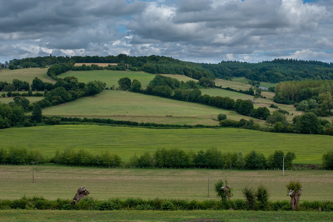 landscape  rural  france free photo