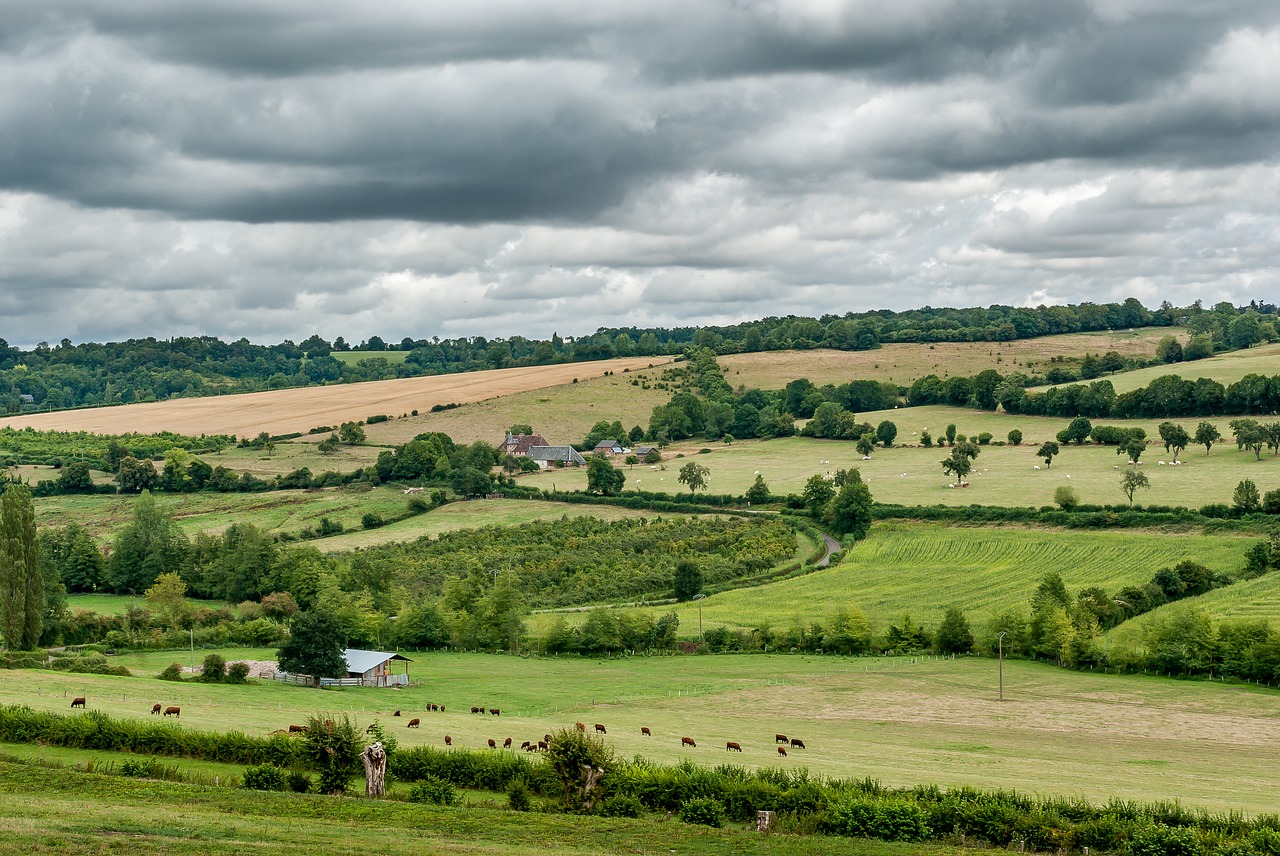 landscape  rural  france free photo