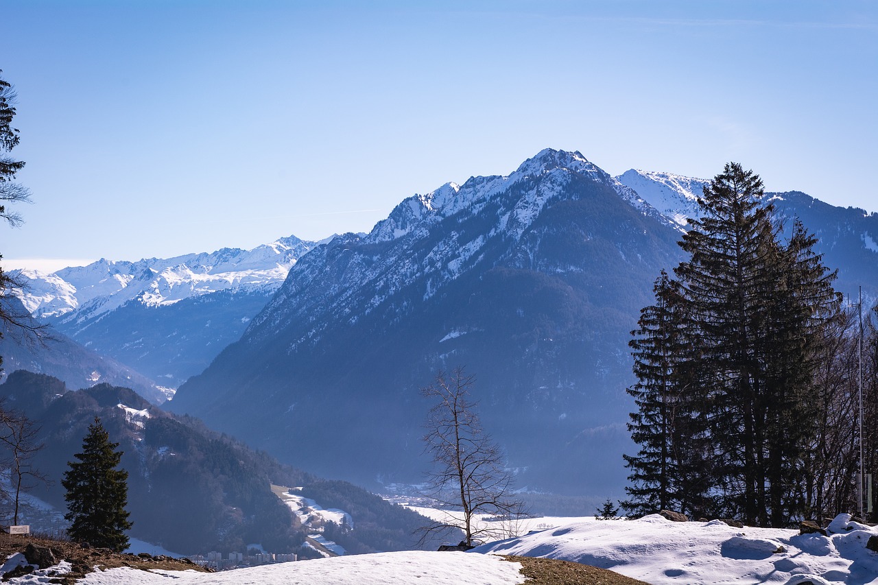 landscape  winter  snow free photo