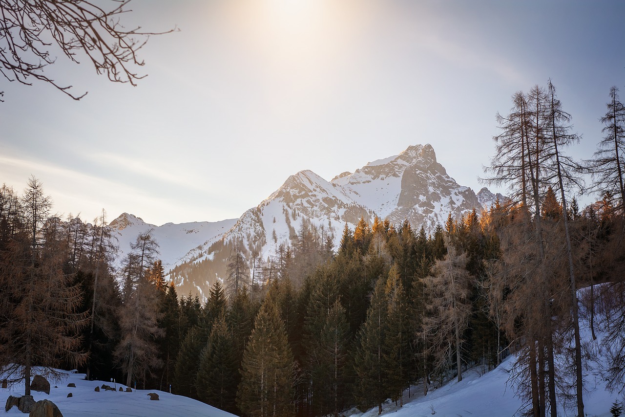 landscape  winter  snow free photo