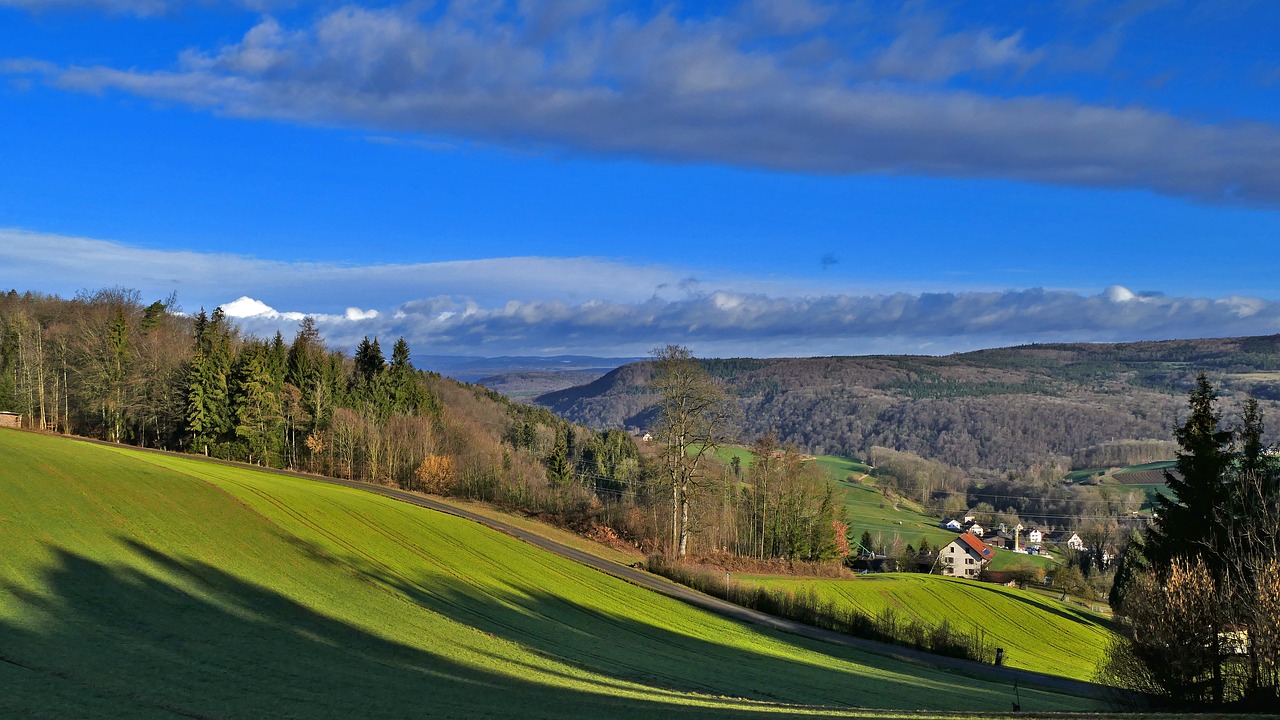 landscape  switzerland  nature free photo