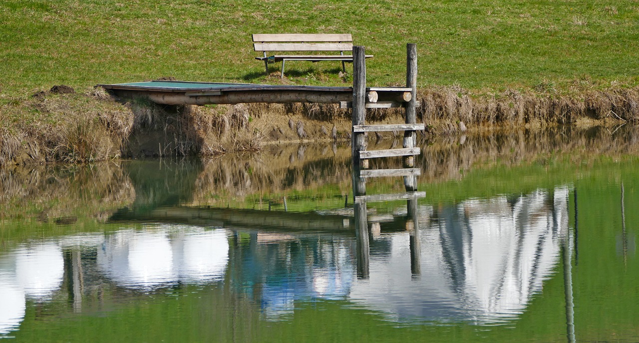 landscape  nature  pond free photo