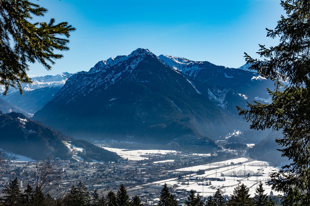 landscape  winter  snow free photo