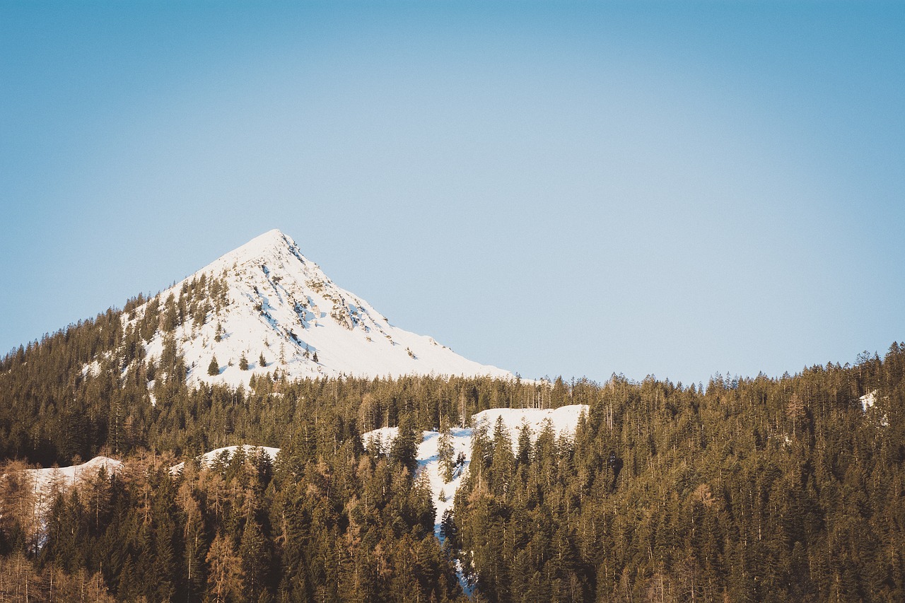 landscape  trees  mountain free photo