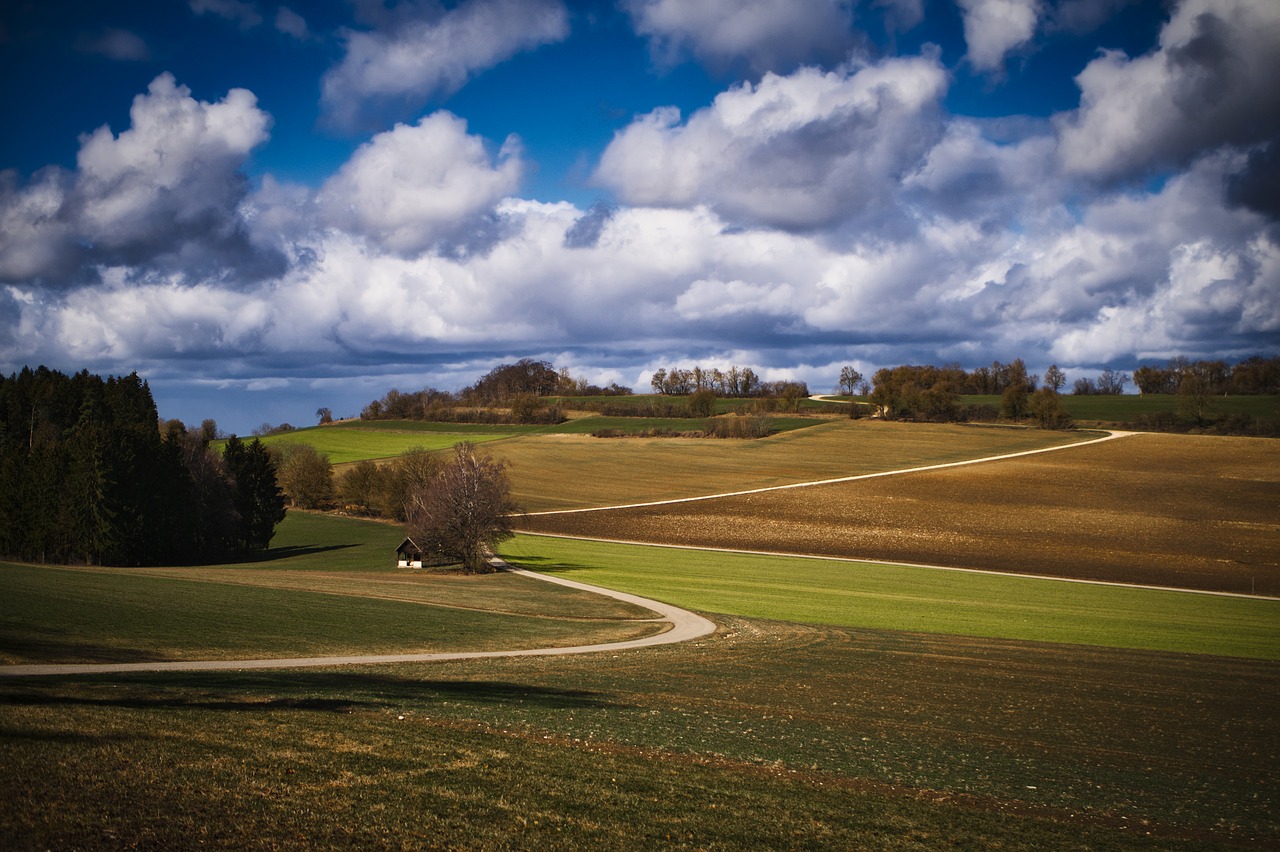 landscape  hill  way free photo