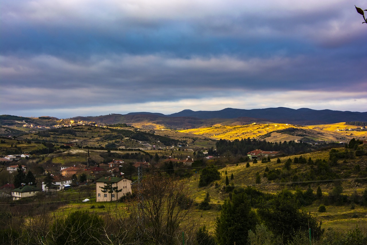 landscape  nature  forest free photo