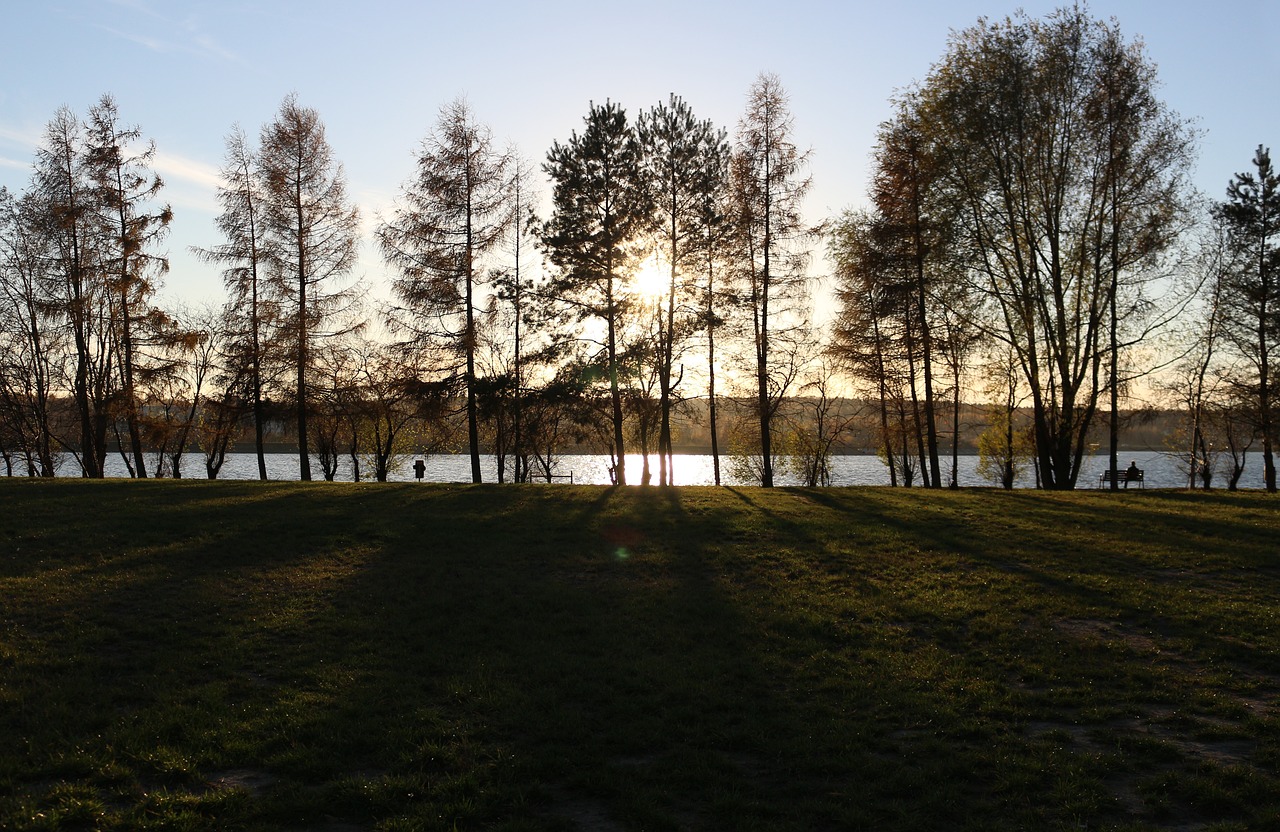 landscape  sunset  tree free photo