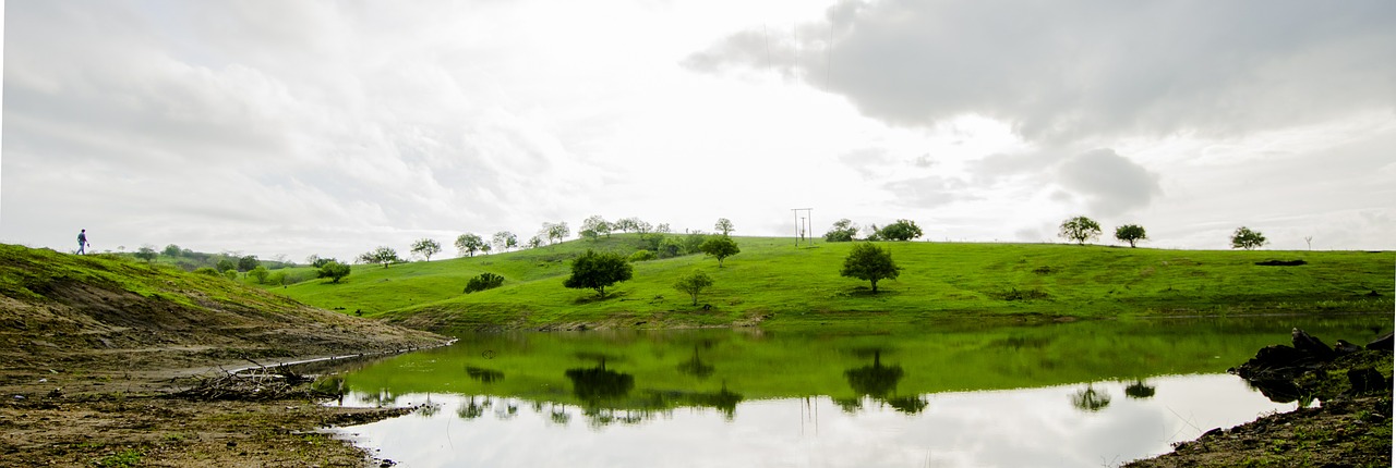 landscape green weir free photo