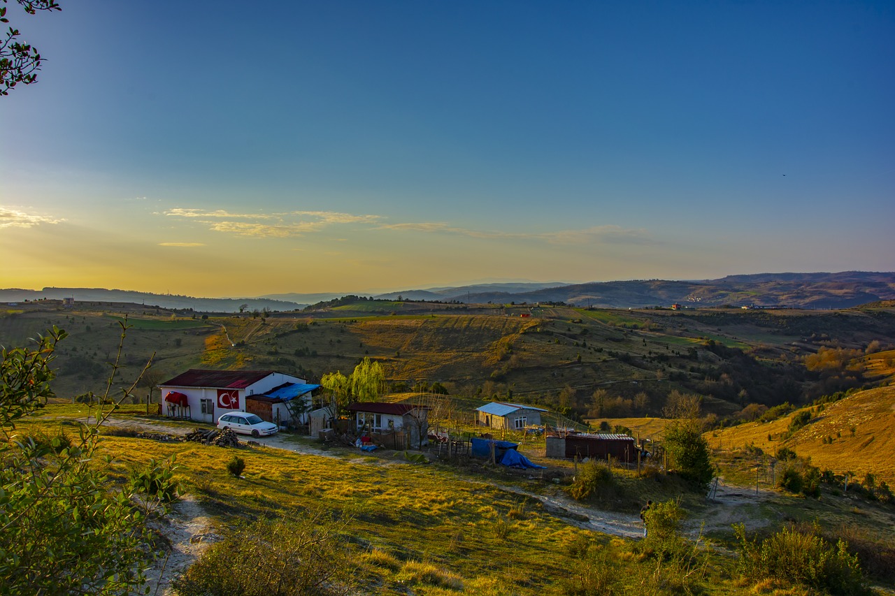 landscape  rural  nature free photo