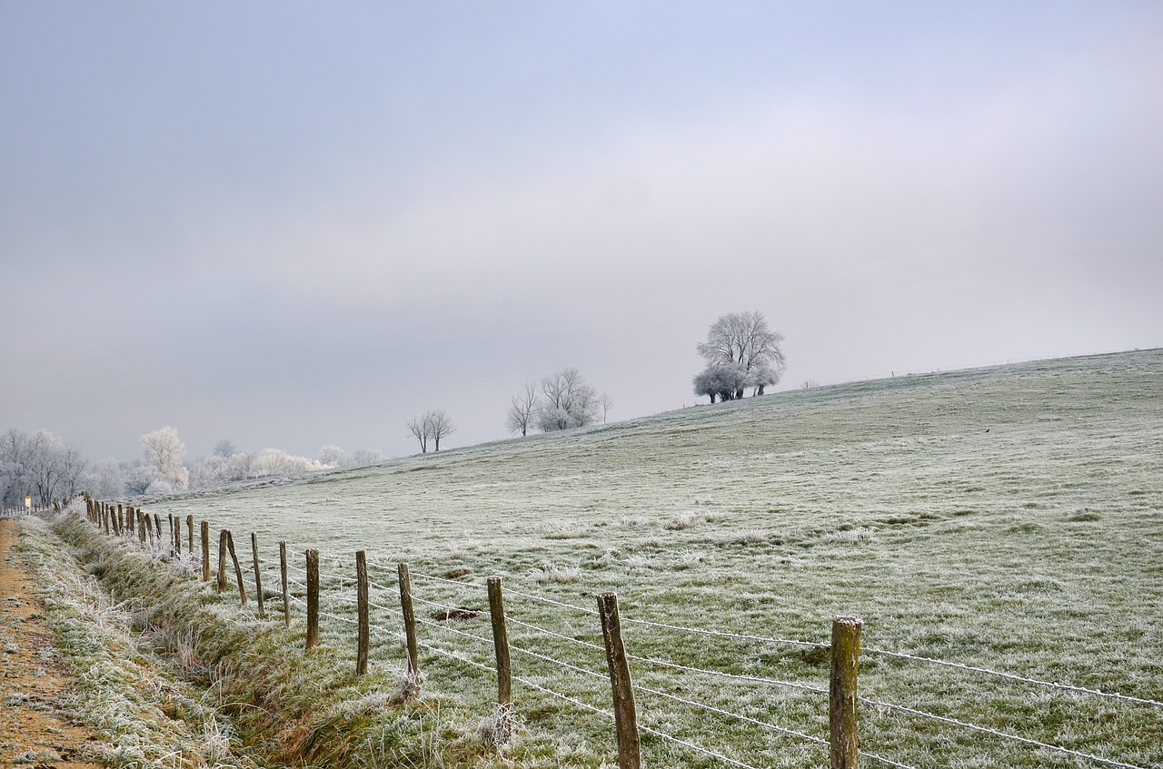 landscape  frost  winter free photo
