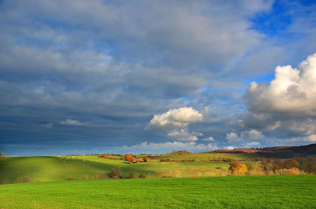 landscape  field  vosges free photo