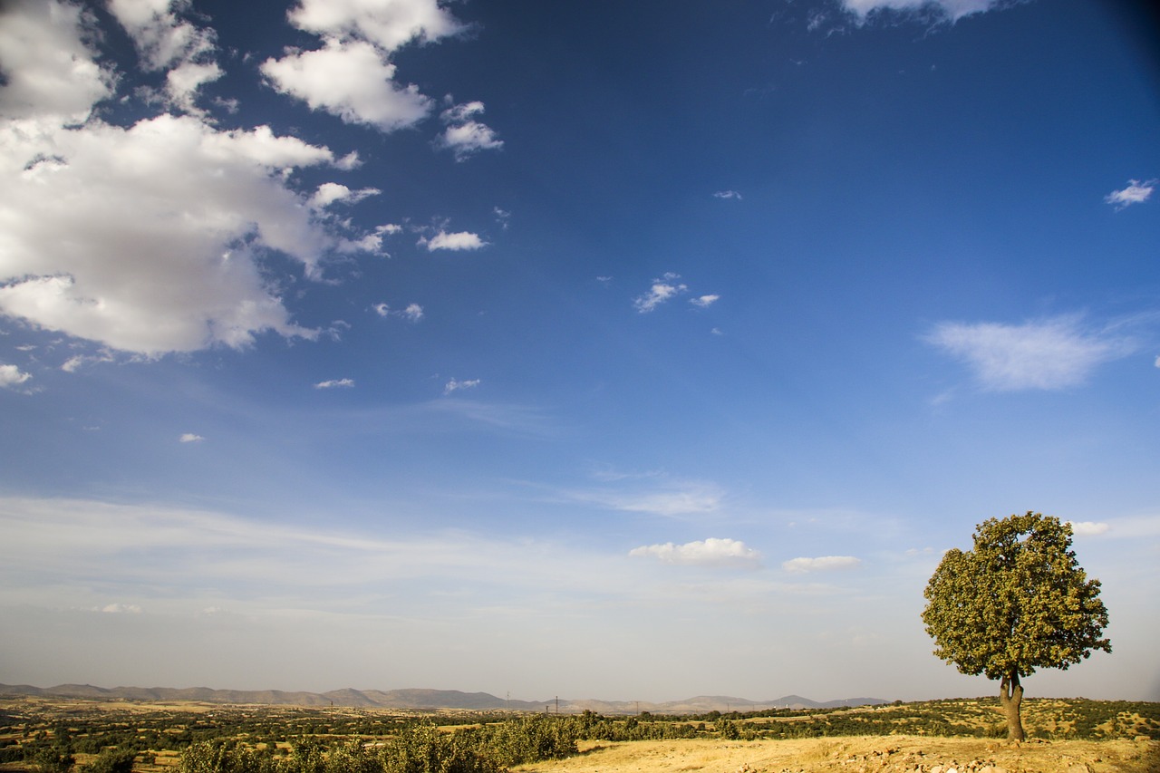 landscape  nature  clouds free photo