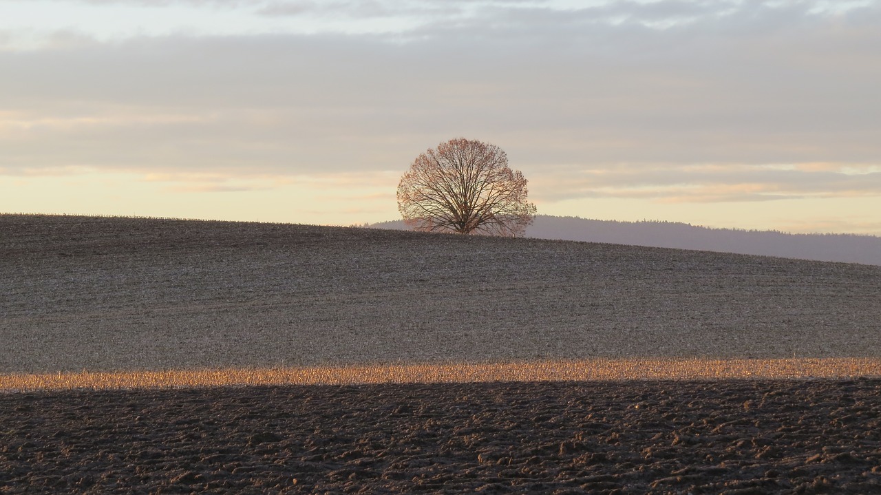 landscape  nature  switzerland free photo