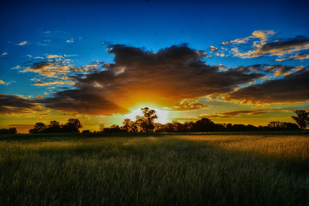 landscape  sun  rays free photo