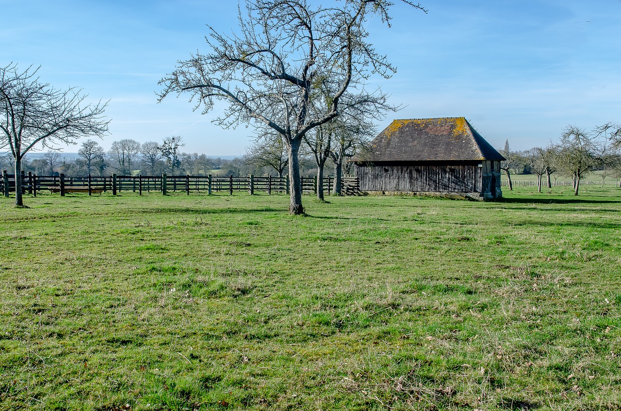 landscape  normandy  france free photo