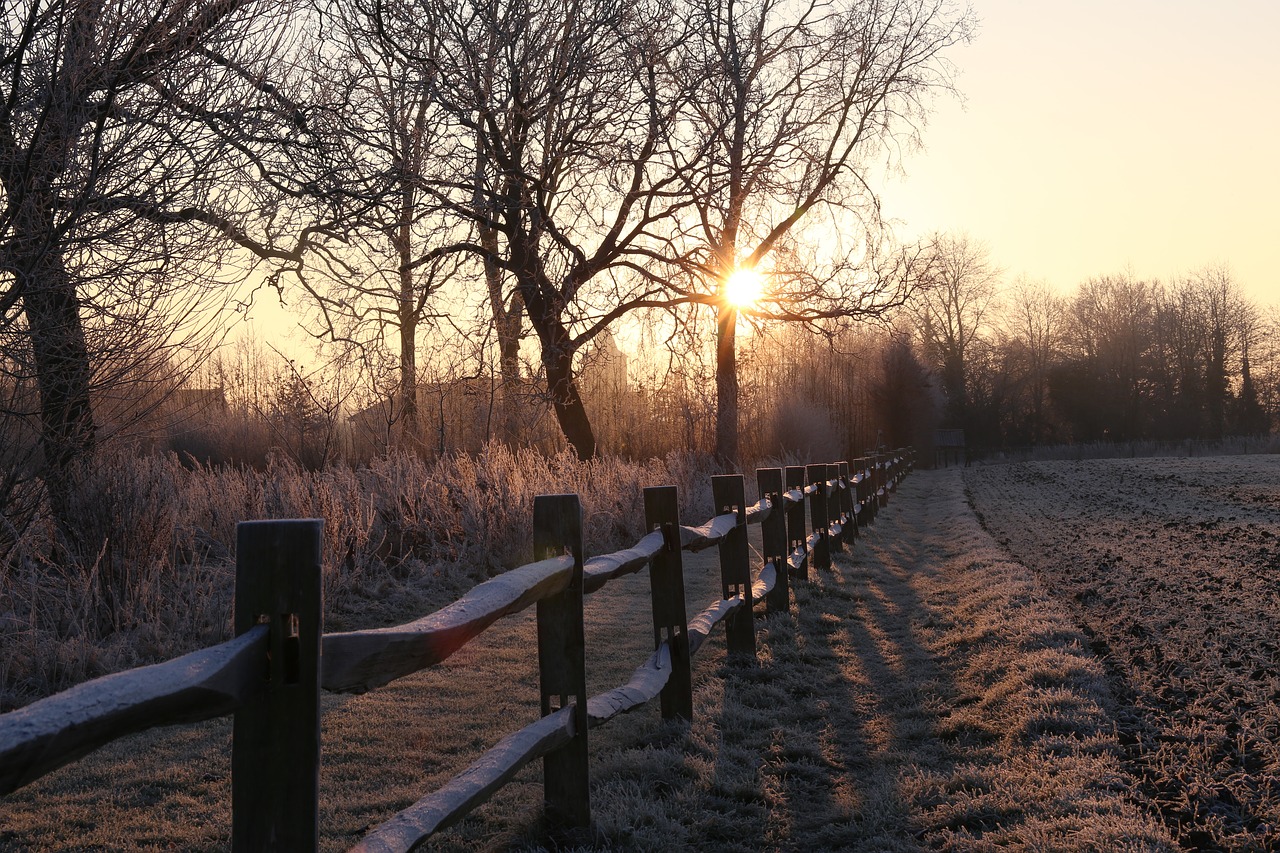 landscape  snow  winter free photo