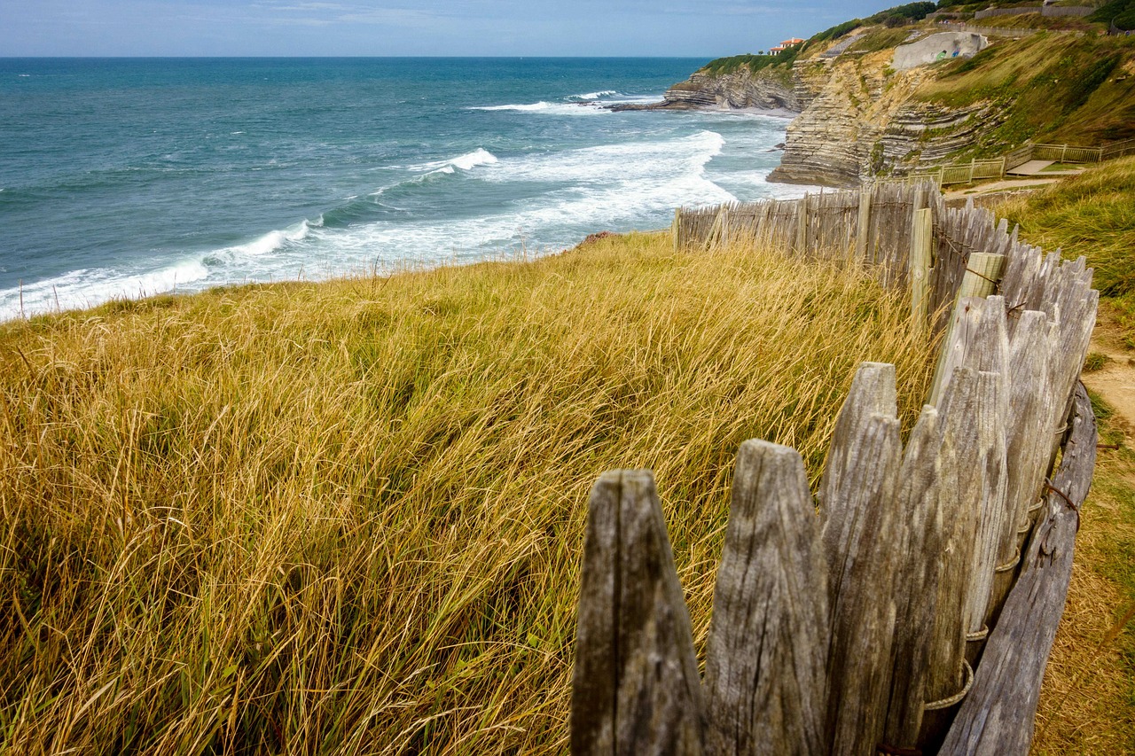 landscape  sea  nature free photo